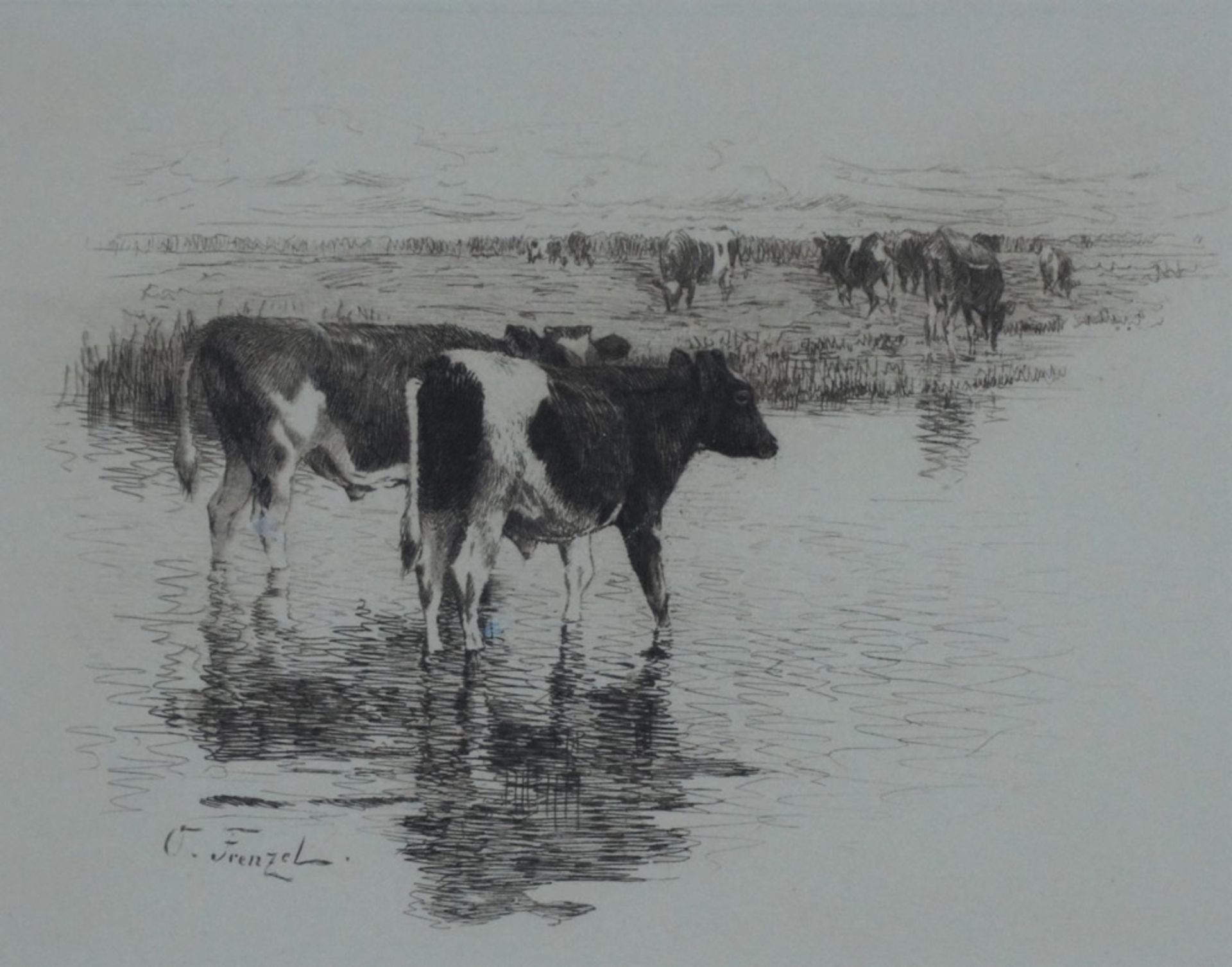 Frenzel, Oskar, Kühe auf dem Darss, Radierung, 12 x 17 cm, sign.