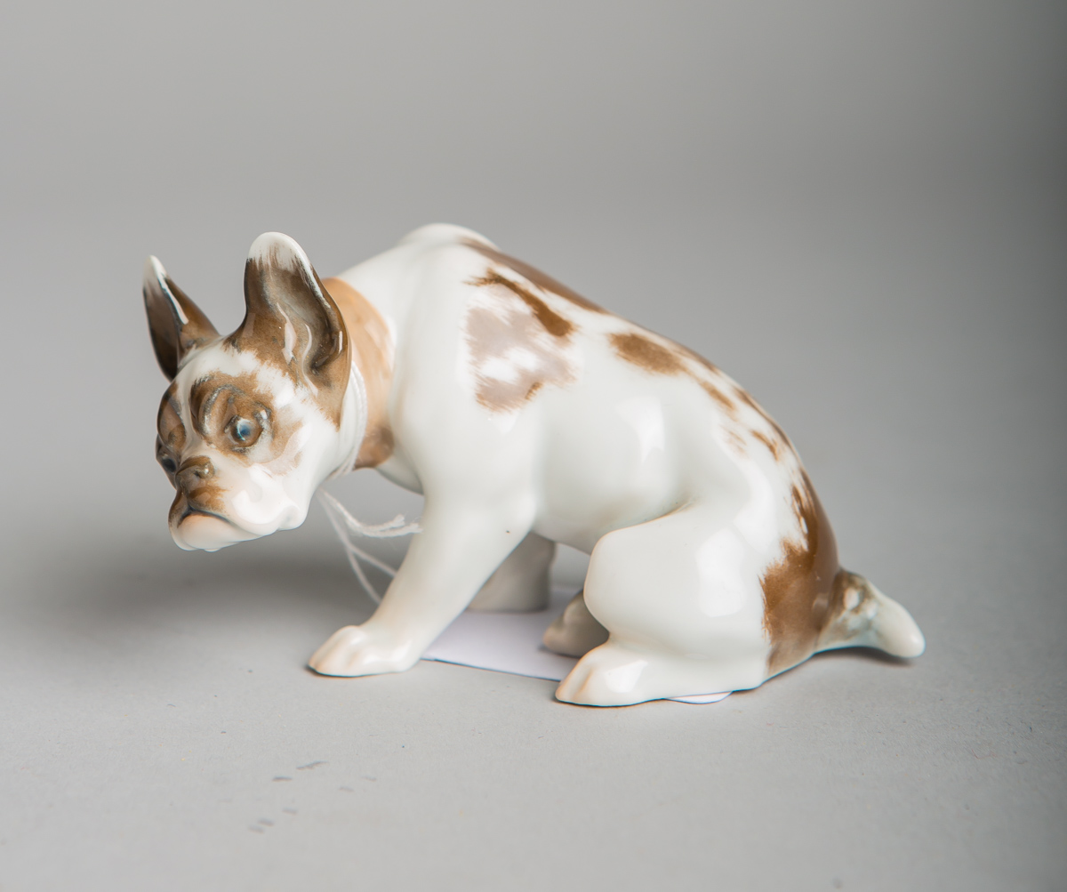 Porzellanfigur "Französische Bulldogge" (Rosenthal, Selb, 1920er Jahre)