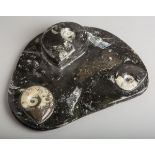 Tischaufsatz m. 3 Ammoniten