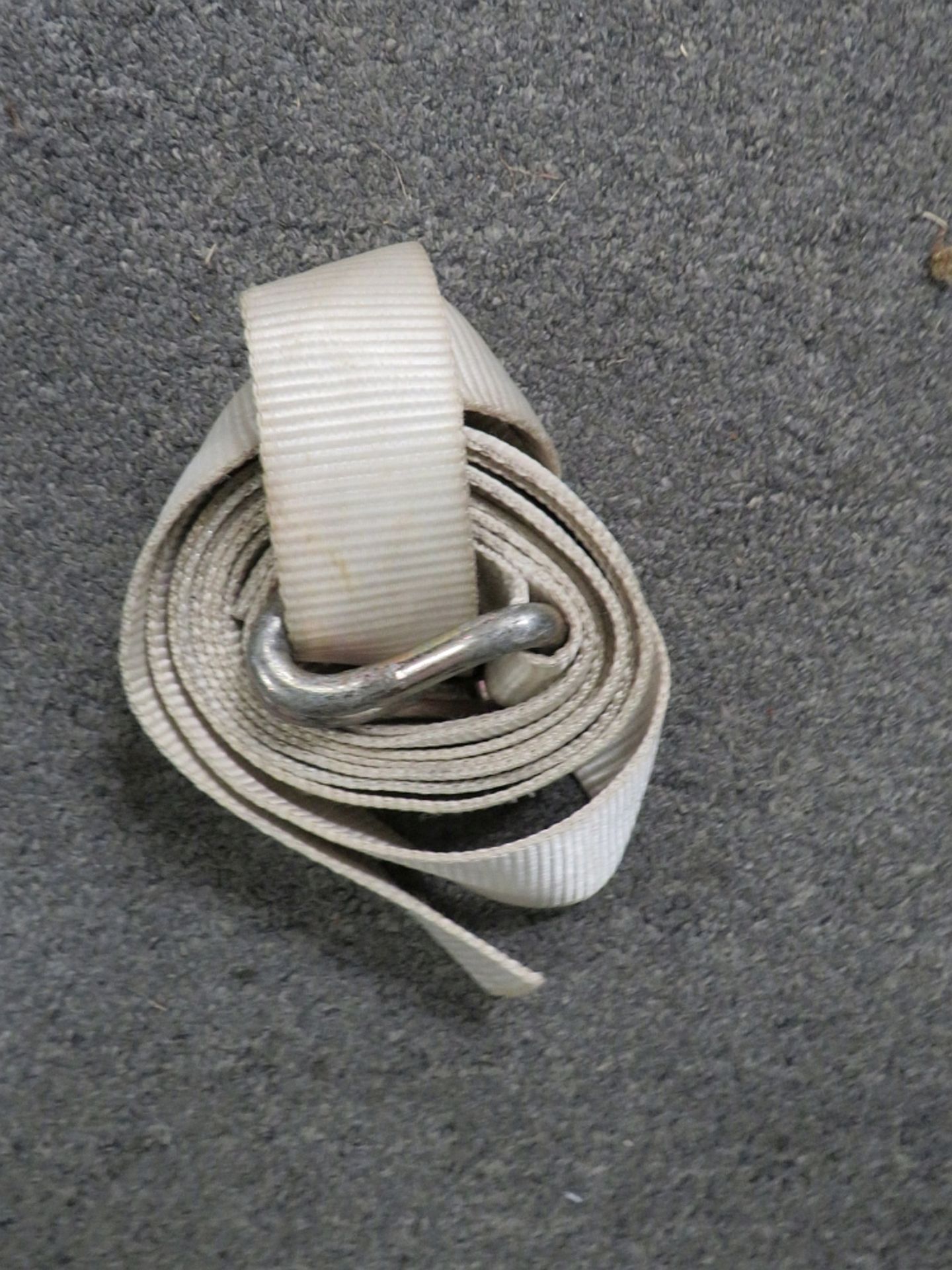 Strap 2in w/ Single Wire Hook