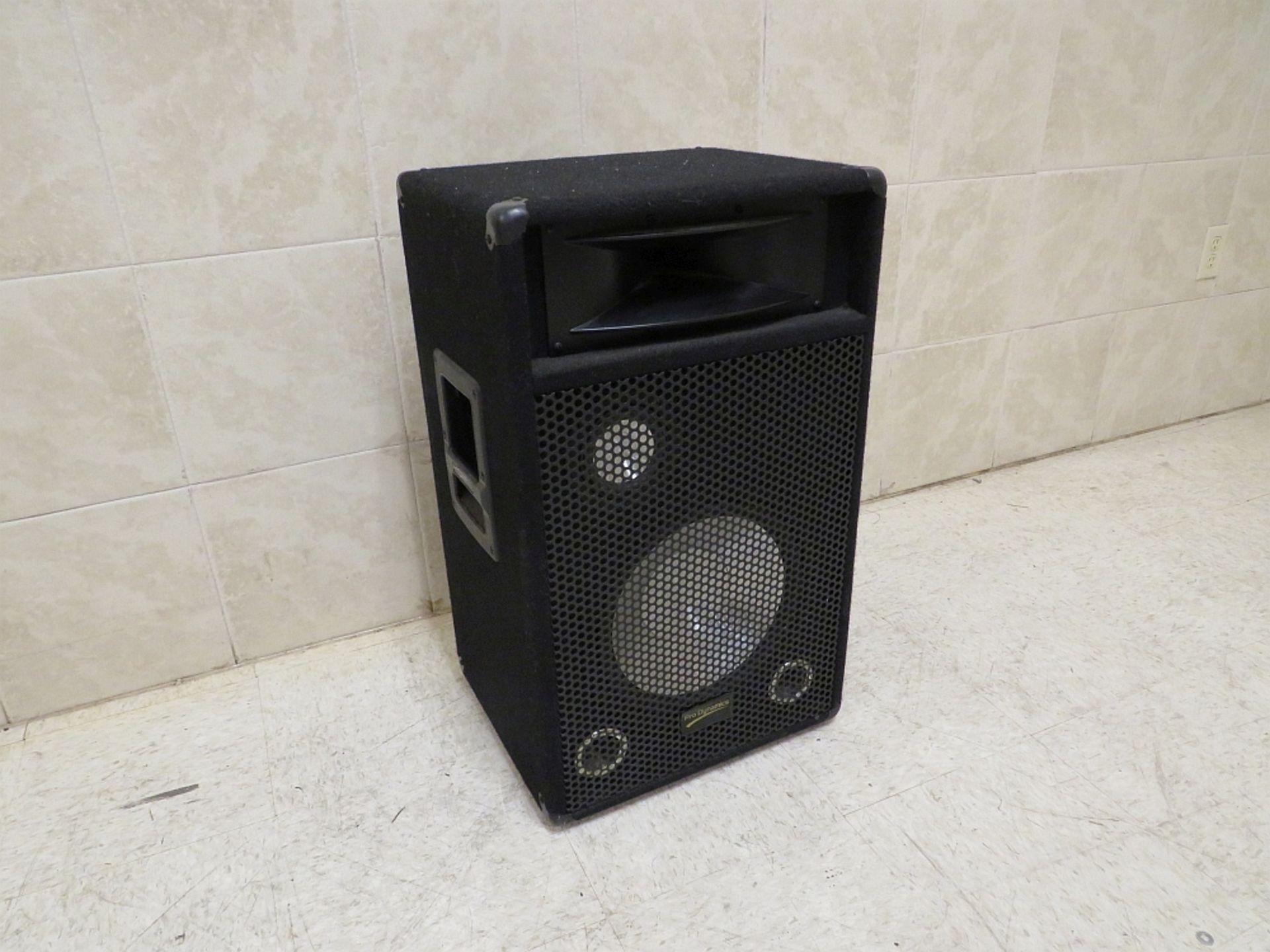 Speaker System - 300watt (pair)
