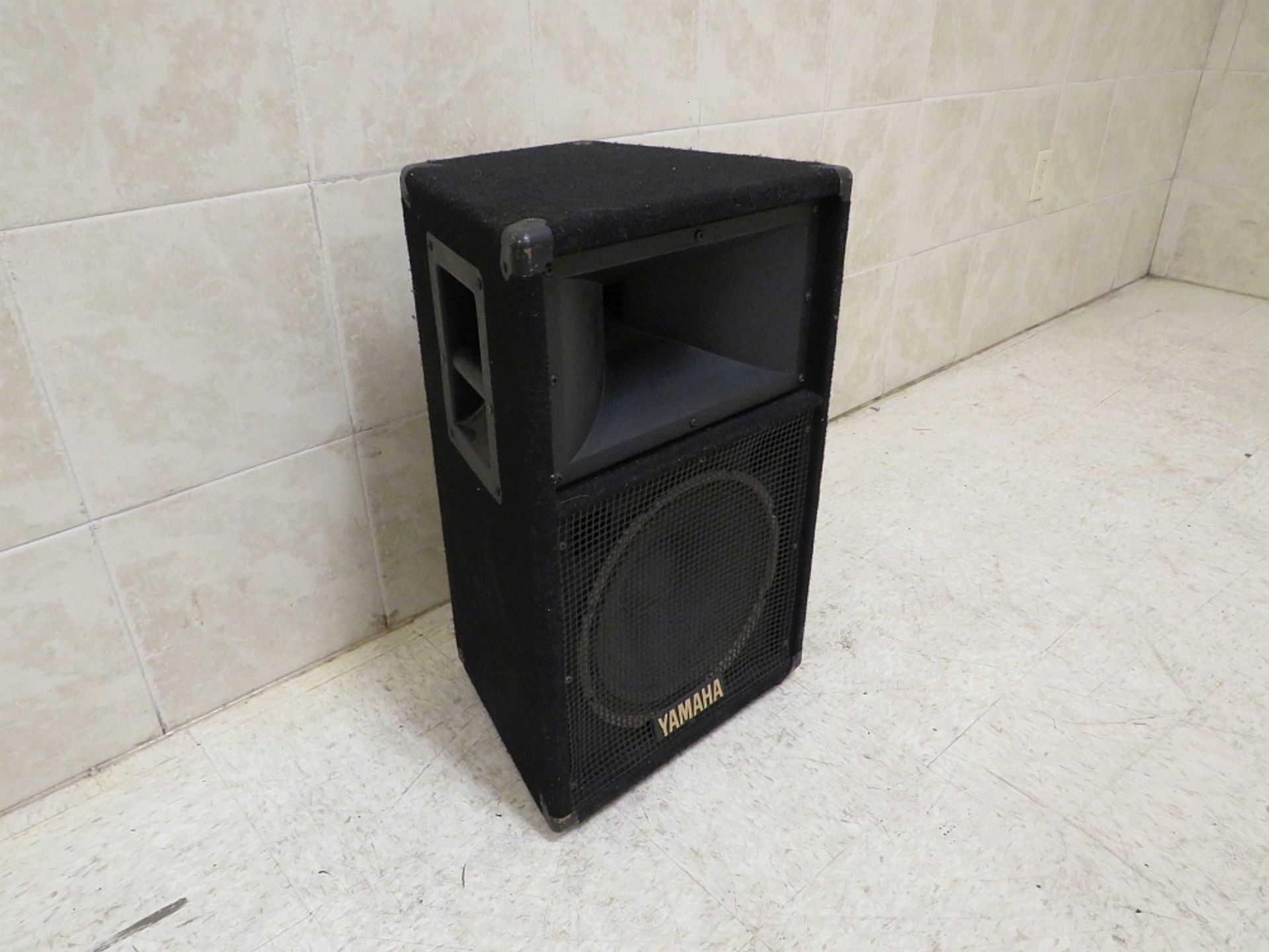 Speaker System - 600watt (pair)