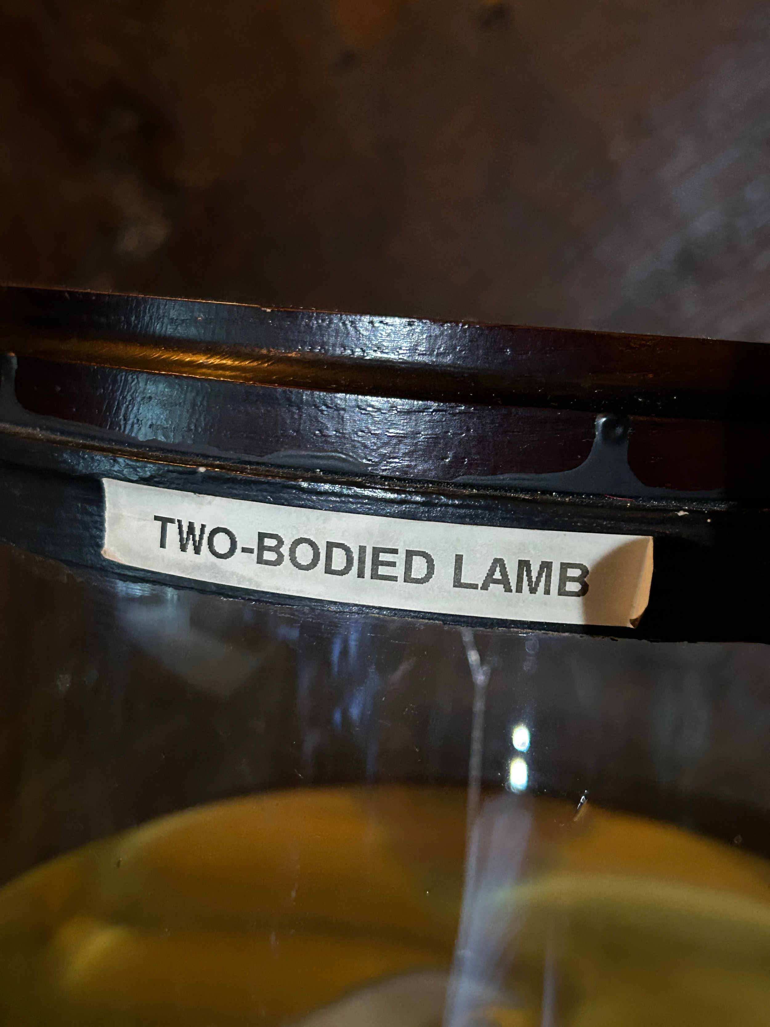 A TAXIDERMY INTEREST WET SPECIMEN OF A TWO BODIED PICKLED LAMB, preserved in alcohol within a - Image 5 of 7