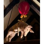 TAXIDERMY "FLOATING PIG" (Sus scrofa domesticus), raised with a red balloon. 70cm length