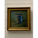 An oil on canvas framed of a Kingfisher by P. Budge