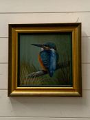 An oil on canvas framed of a Kingfisher by P. Budge