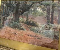 Charles Edwin Flower (1871-?), 'Woodland', a watercolour signed and dated 1900, framed and glazed,