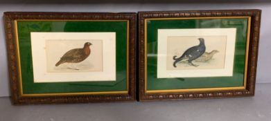 A pair of game bird prints, glazed and framed, 40cm x 39cm