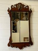 A mahogany wall mirror with carved bird to top (50cm x 91cm)