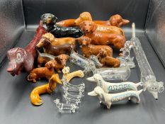 A collection of Dachshund dogsl