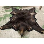 A Taxidermy Bear by Van Ingen & Van Ingen mysore lined rug.