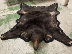 A Taxidermy Bear by Van Ingen & Van Ingen mysore lined rug.