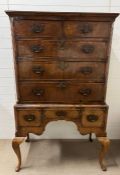 A walnut chest on stand , two short over three long cross banded drawers with shaped apron and