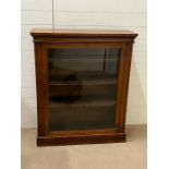 A mahogany pier cabinet or glazed bookcase (H1069cm W92cm D30cm)