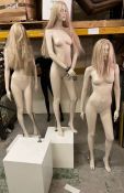 Four mannequin and three box stands and one glass stand (H180cm without stand)