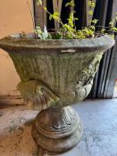 A garden plant pot in a neoclassical style