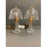 A pair of decorative glass lamps