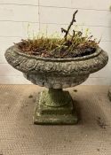 A garden urn planter AF