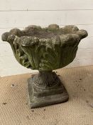 A tulip urn planter (H50cm Dia48cm)