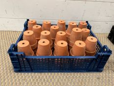 A selection of small terracotta garden pots