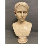 A marble bust of Caesar (H52cm W29cm)