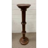 A column plant stand torche