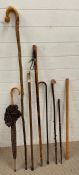 A selection of walking sticks, canes and an umbrella