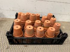 A selection of small terracotta garden pots