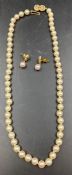 An pearl necklace with 18ct gold bow style fastener and a pair of 18ct gold pearl earrings