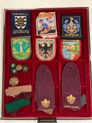 Some collectable patches and Senior Scouts badges and insignia.