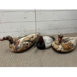 Pair of vintage wooden duck decoys with glass eyes, along with one plastic decoy duck