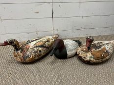 Pair of vintage wooden duck decoys with glass eyes, along with one plastic decoy duck
