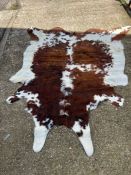 A Cow hide rug 240cm 170cm