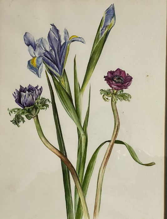 Still life flowers, signed 'R.Sanders', framed and glazed 50cm x 40cm - Image 2 of 3