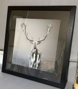 A large black and white photograpy/print of a stag 67cm x 67cm