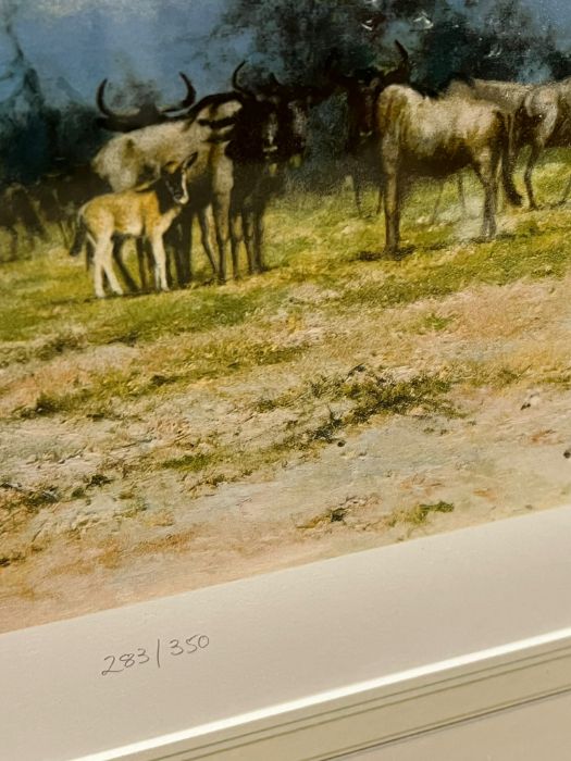 David Shepherd Limited edition, signed and numbered print "Amboseli" - Image 3 of 7