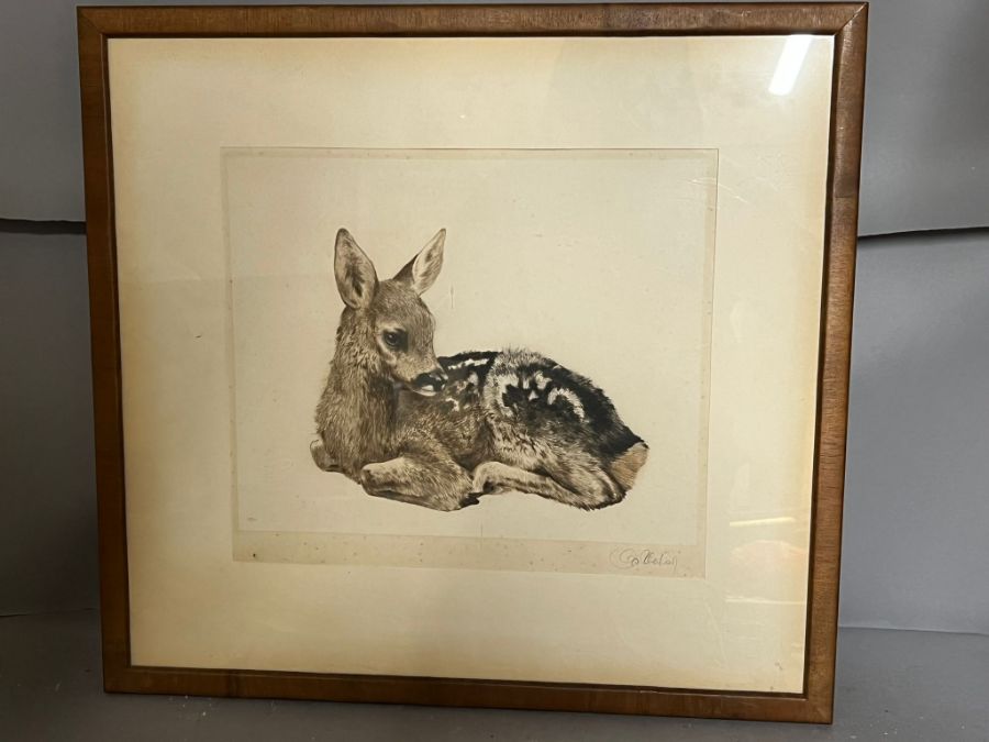 "Little Deer" reclining by Eberhardt signed etching (1895 - 1977)