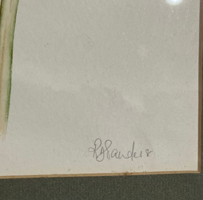 Still life flowers, signed 'R.Sanders', framed and glazed 50cm x 40cm - Image 3 of 3