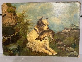 An 19th century oil painting on board, terrier with rabbit signed lower right and dated, WT18