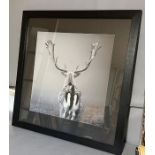 A large black and white photograpy/print of a stag 67cm x 67cm