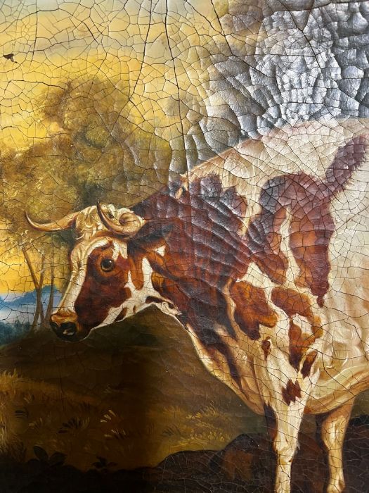 Folk Art primitive livestock portrait or prize winning cow/heifer, oil on canvas 43cm x 32cm - Image 3 of 5