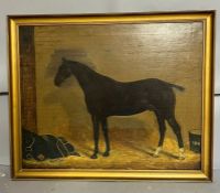 19th century oil painting on canvas, thoroughbred dark bay 69cm x 56cm AF