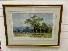 David Shepherd Limited edition, signed and numbered print "Amboseli"