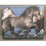 Equus coffee table book with photographs by Tim Leach