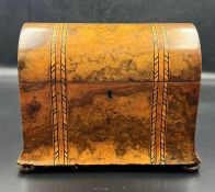 A burr walnut domed tea caddy