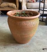 A large terracotta pot