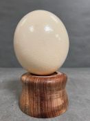 A Ostrich egg on a turned wooden display