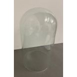 A glass dome (30cm 18cm)