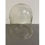 A glass dome with with rim/top hat style (27cm x 26cm)