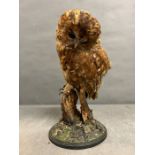 A taxidermy owl on stand
